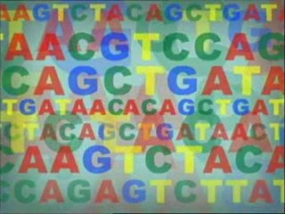 Animation - How DNA Works