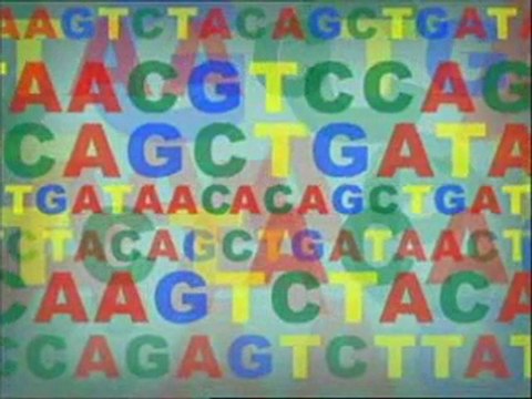 Animation - How DNA Works