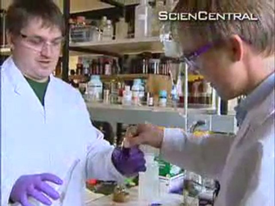 Green Nanotechnology