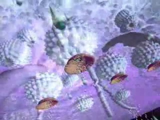 Neurons and How They Work