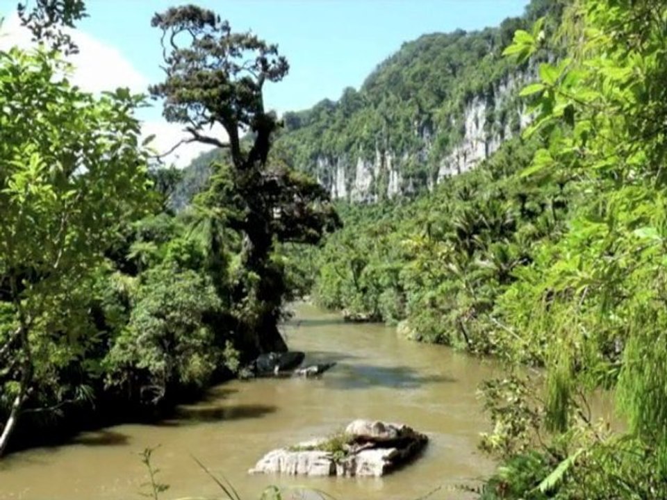 cote ouest ile du sud - NZ