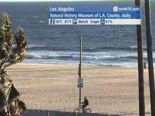 Warnemunde - Germany, Melbourne - Australia, Agadir - Morocco, Muscat - Oman, Los Angeles - USA, Bandar Seri Begawan - Brunei, Cannes - France