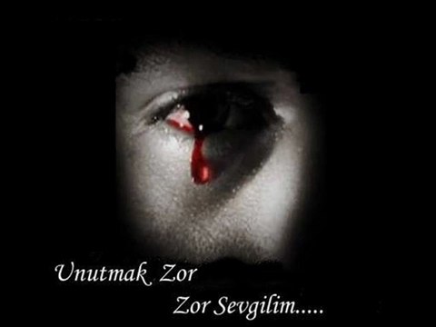 seyda perincek- sesliherdem.com