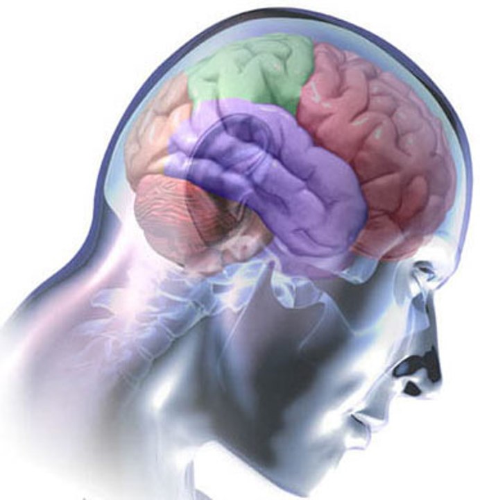 La Science du combat - Contenu pour les pratiquants-1