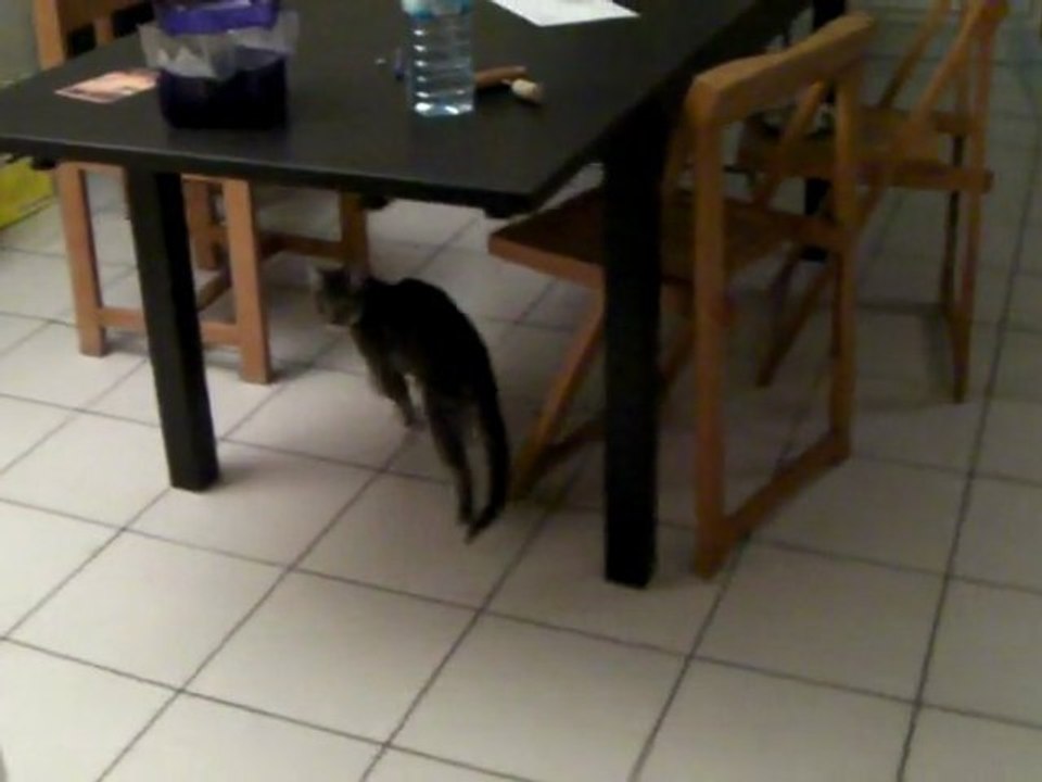 Sae tente de communiquer