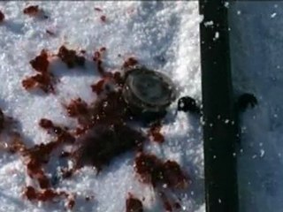 Ispansi (Españoles) - Clip 01