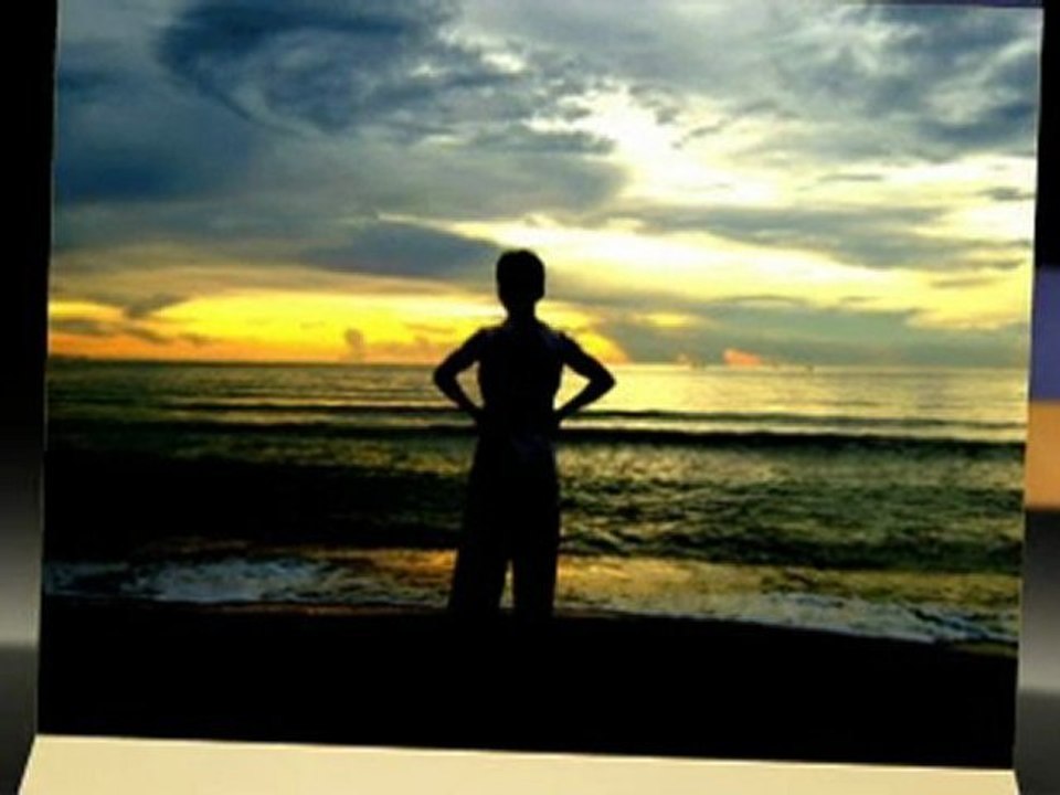 web designer-some facts