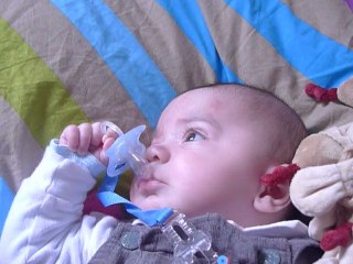 Arrachage de tottote