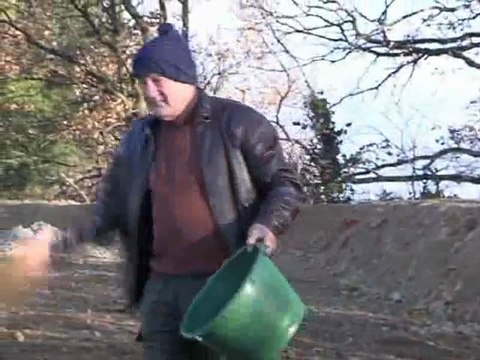 Préparation d'un terrain à l'engrais vert