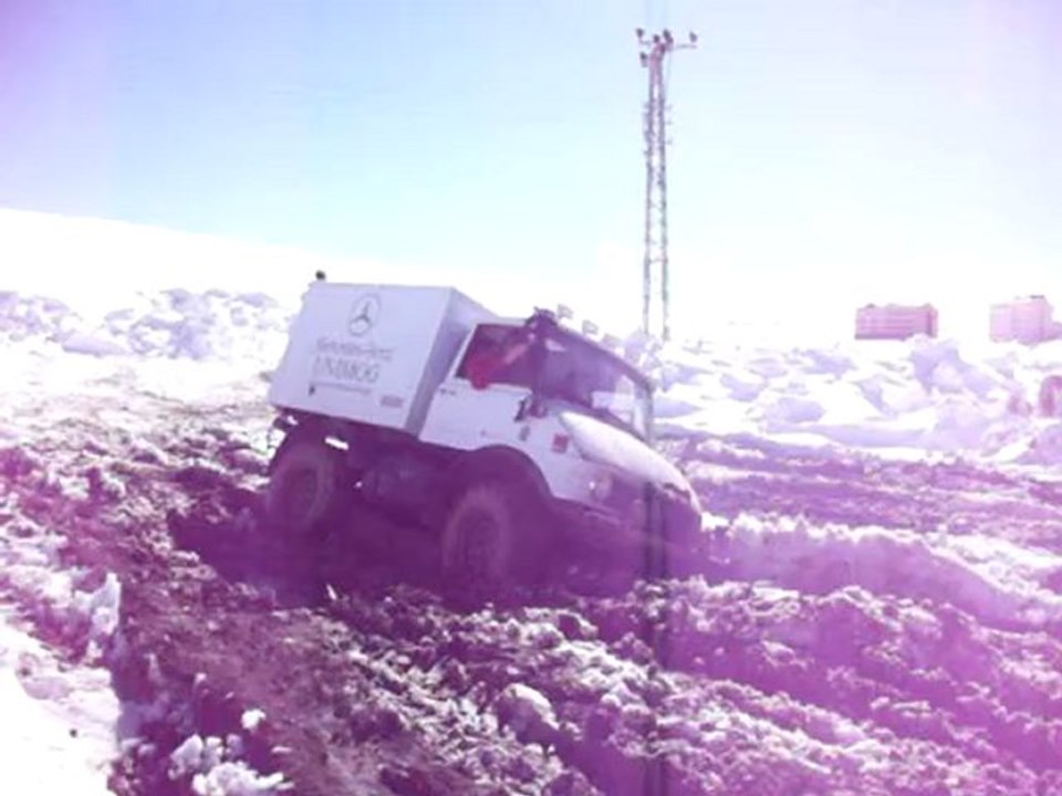 MD000503