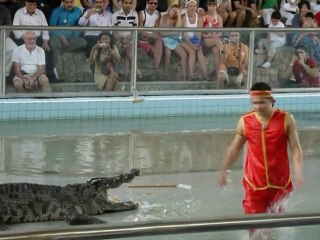 Thaïlande Crocodiles