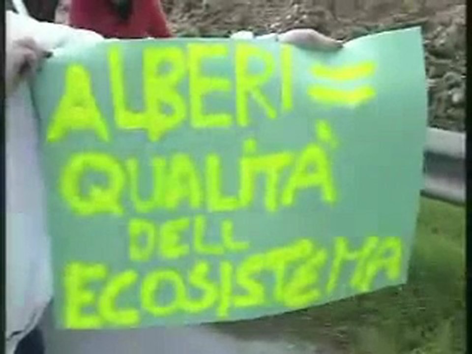 alberi