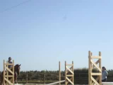 If de la Grange, Ecuries du bout du monde