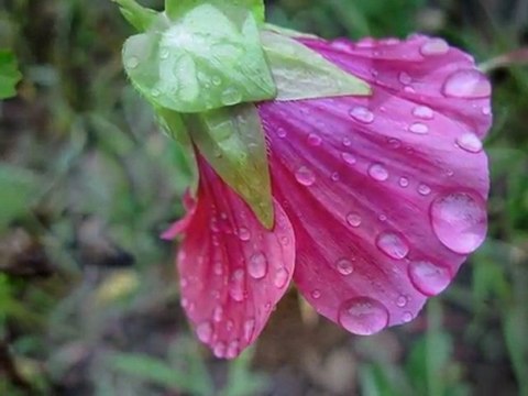 Bu hayat sensiz yaşanmaz Ayşe Tunalı