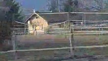 Vidéo0045 dressage Rhonyx