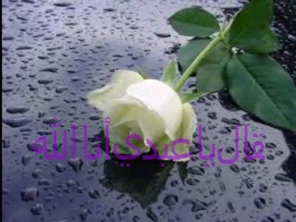 ﷲ…ﷲ…ﷲ…