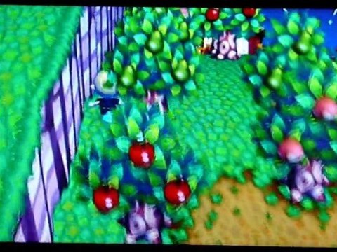 Animal Crossing Génie de la lampe