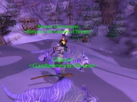 WoW : Patch 4.1 - Sabres d'Hiver - Mascotte et Monture