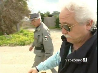 Sventato Traffico di tartarughe