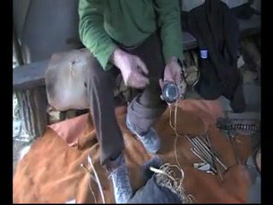 PARC DE LA PREHISTOIRE ... Voyage au coeur de la Préhistoire