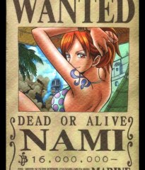 One Piece-Wanted!!