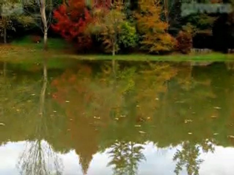 Zülüf Dökülmüş Yüze-Fon