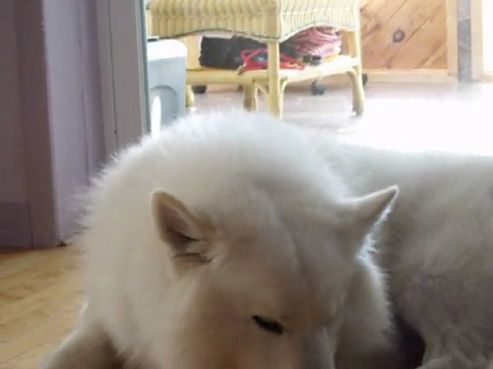 01-03-2011-VID (2)