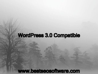 Word Press SEO Essentials