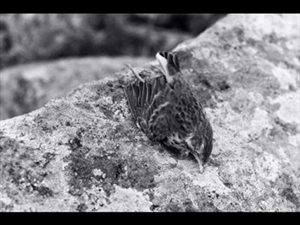 EZANLAR BİZİM İCİN OKUNUYOR SEVGİLİM