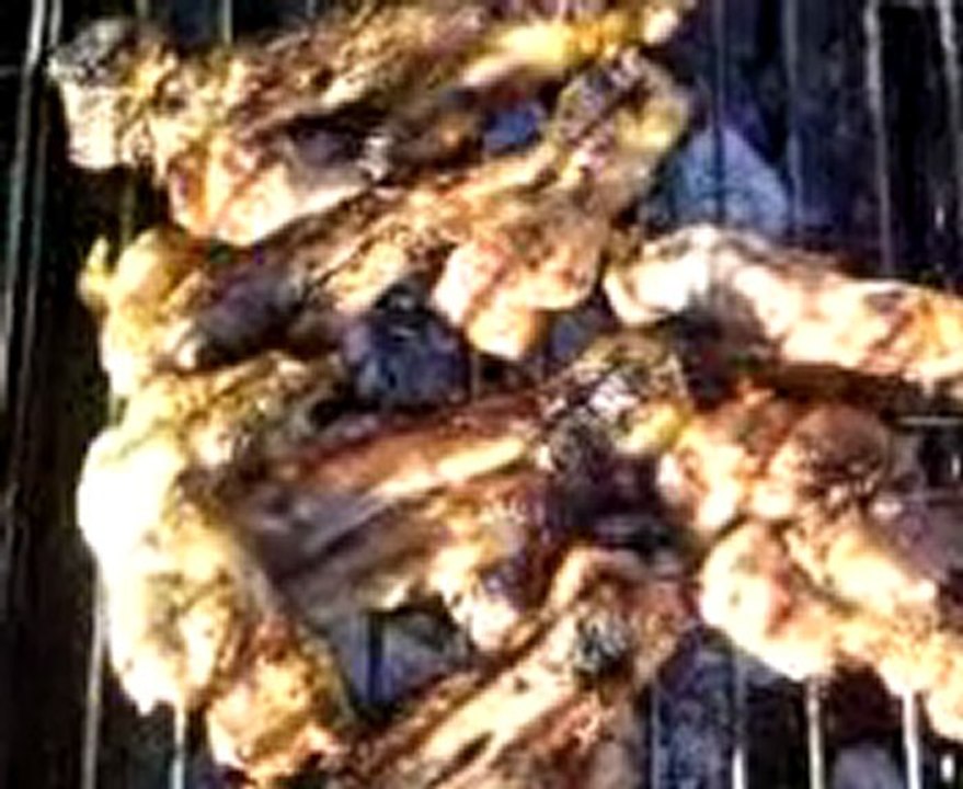 Video007