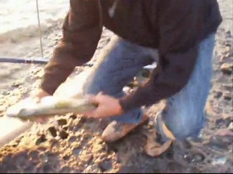 Hasan BALIKÇI&balikcilar.org