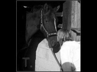 Une déclaration d'amour sincère ❤️