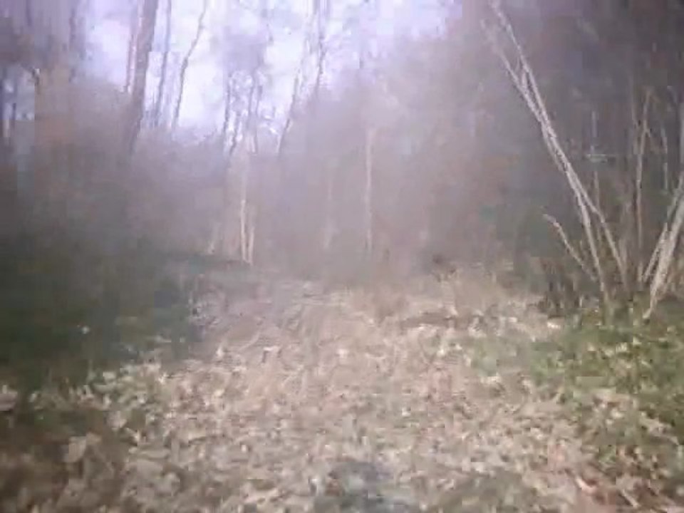 quad 1 mars part3