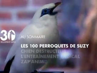 Sommaire émission 30 millions d'amis 6 03 2011