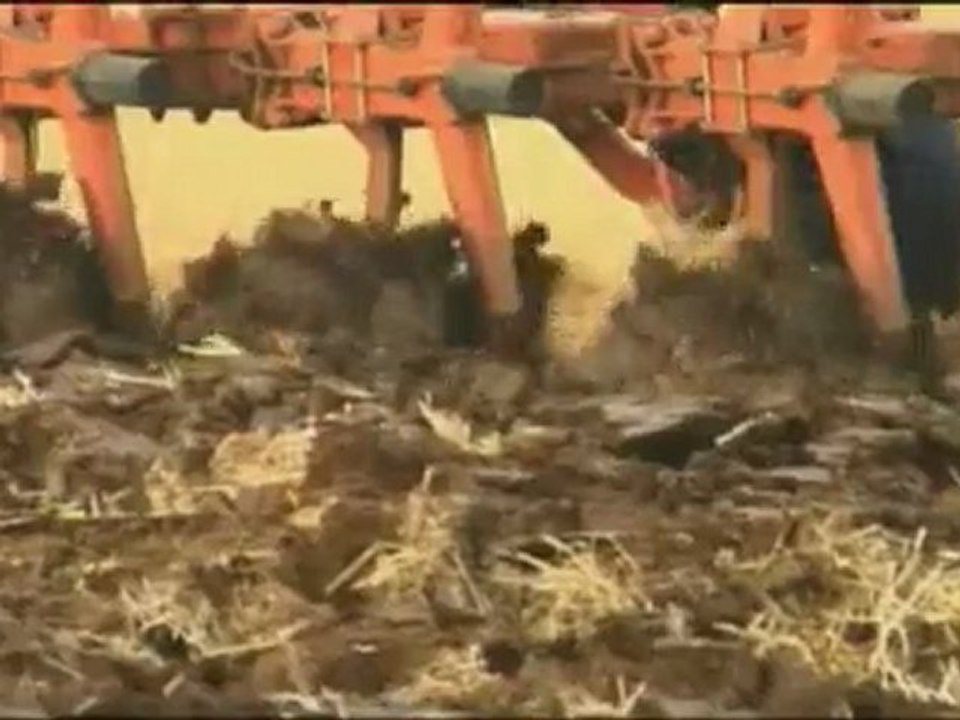 Solutions locales pour un désordre global - Coline Serreau