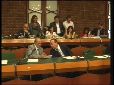 consiglio comunale 30 luglio 2010 MASSENZIO