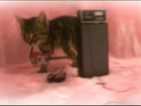 STEPHEN MALKMUS “Jo Jo's Jacket” (2002)