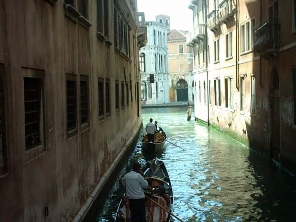 venise mi