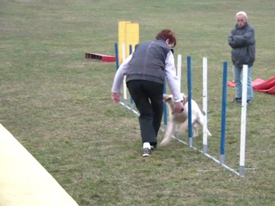 groupe agility