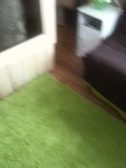 cabane dans l'arbre à Gan