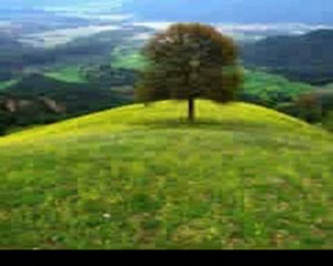 CEVDET BAĞCA  akşamdan akşama