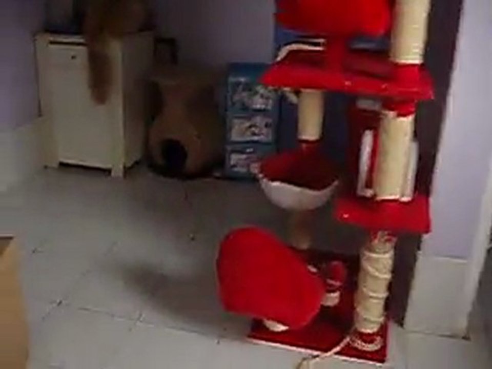 P1010003