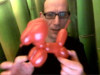 video chien ballon zygo