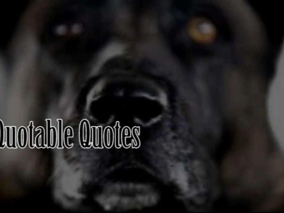 Quotable quotes from the chosen ones