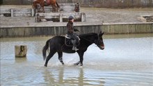 entrainement de TREC avec ken poste
