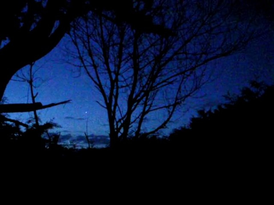 l'heure bleue