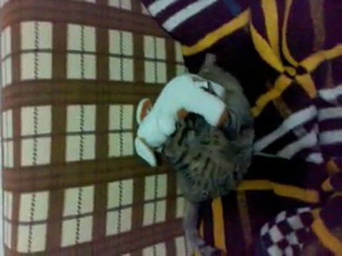 NOKIA X2 İLE ÇEKİLMİŞ nokiax2paylasim.0fees.net/