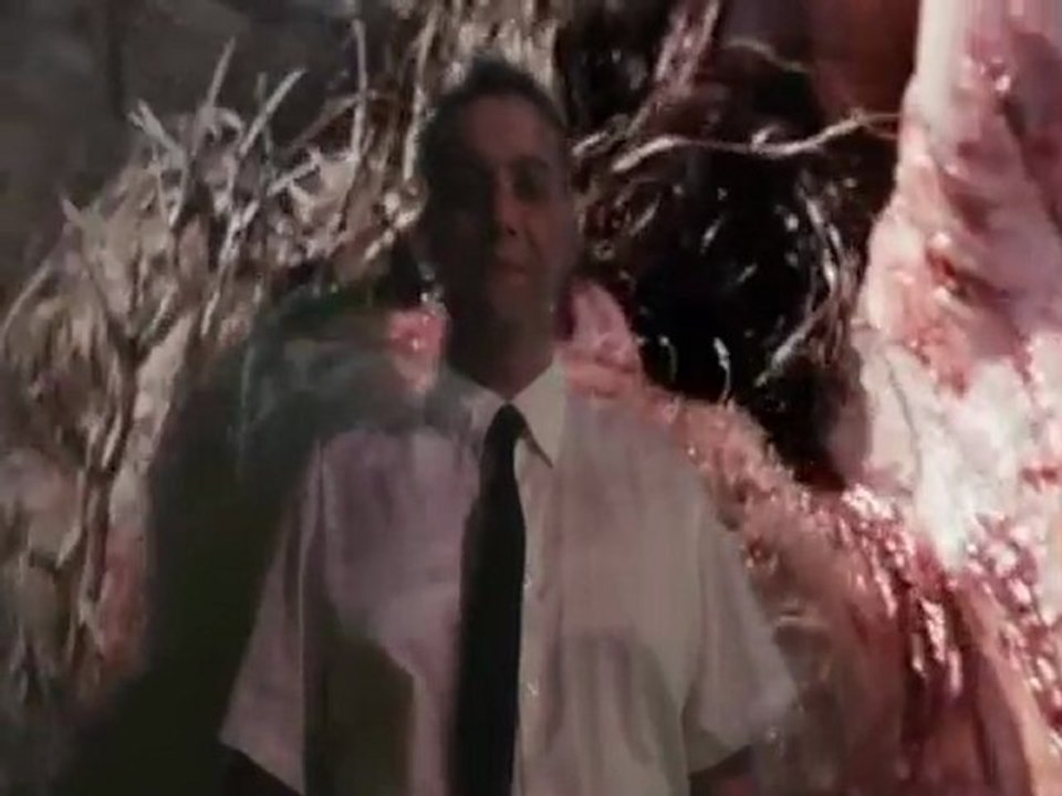 jamais plus je n'oublierai