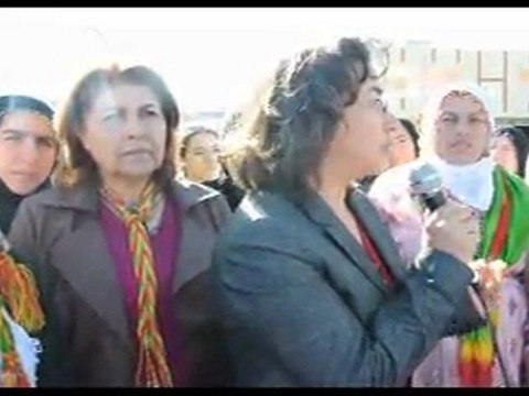 8 mart kadin-baris-masasi-nusaybin