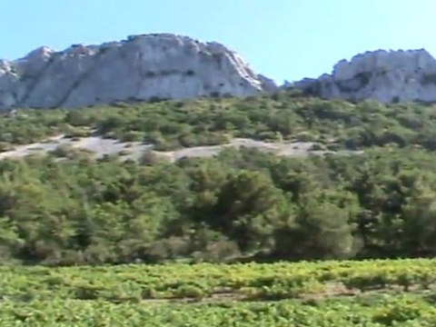dentelles de montmirail